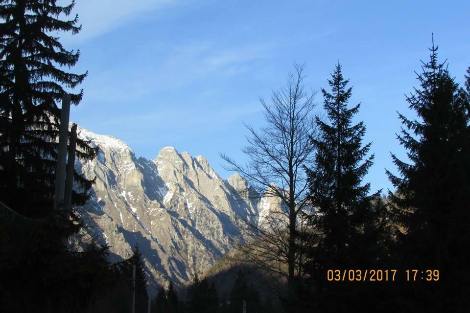 Valbona Eco Camping Hotel Kültér fotó