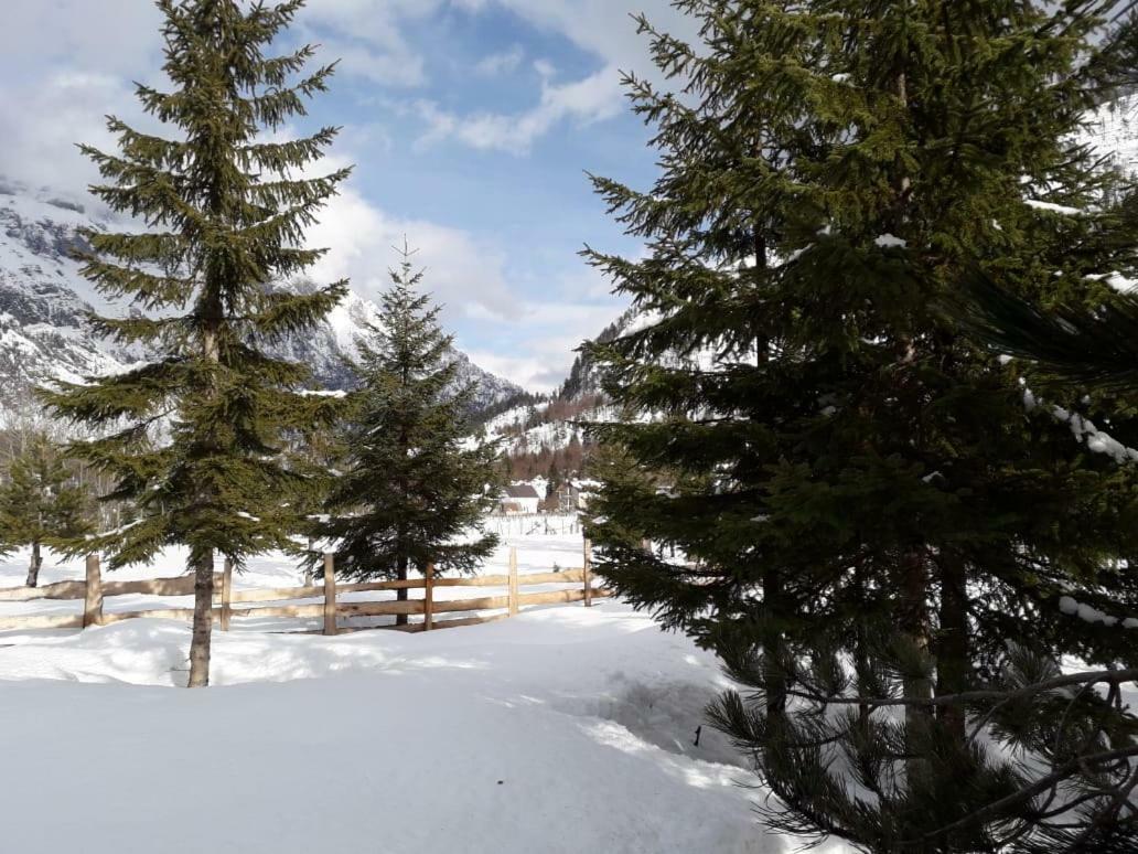 Valbona Eco Camping Hotel Kültér fotó